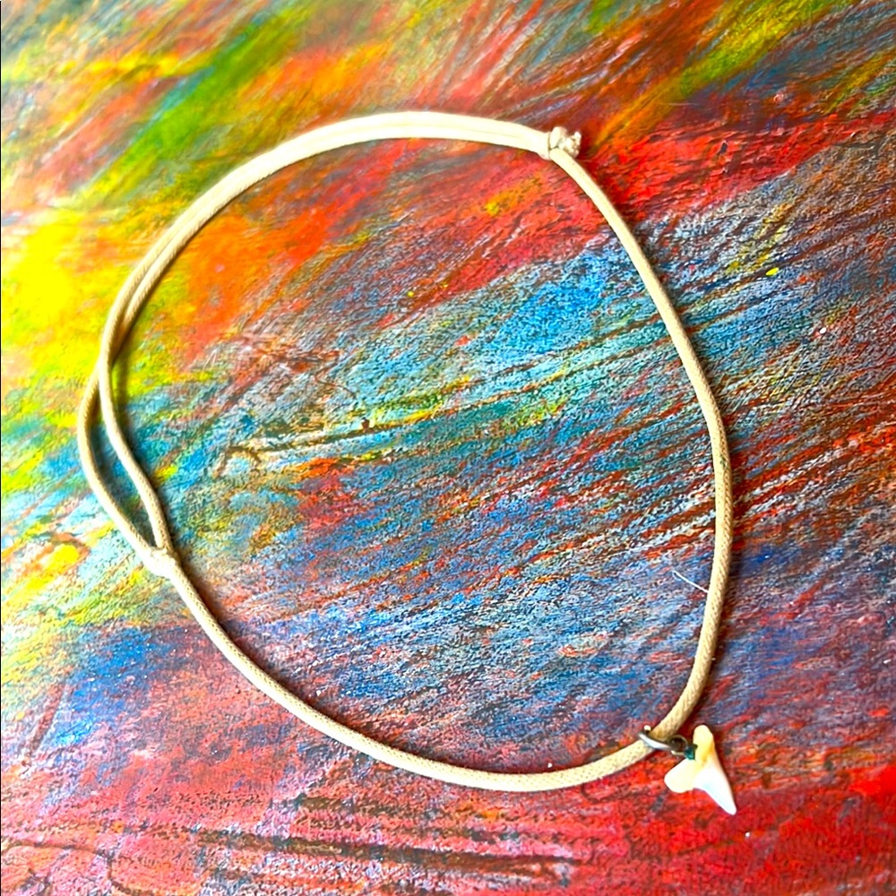 Shark Tooth  Pendant Necklace pacific w. adjustable string